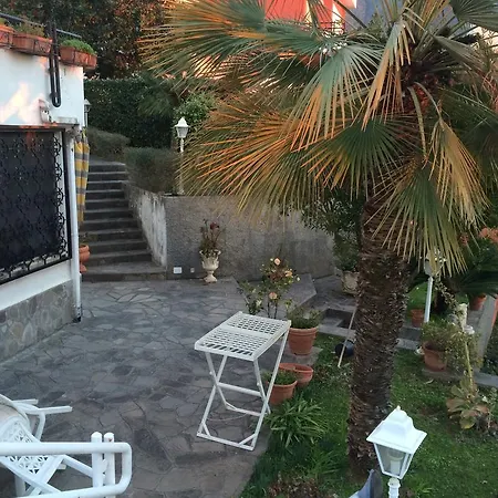 Adriana Bed & Breakfast Praia a Mare
